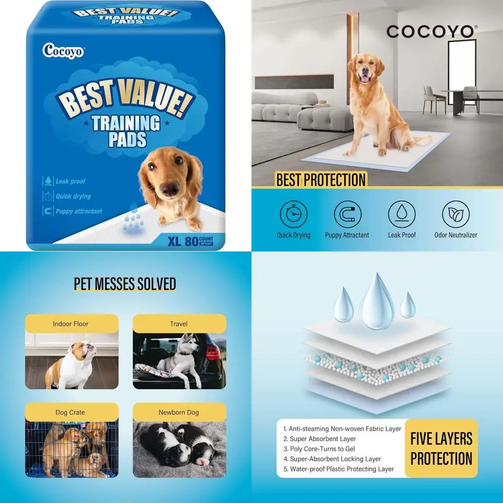 

Best Value Training Pads, 28" by 34" XL, 80 Count,Blue and White