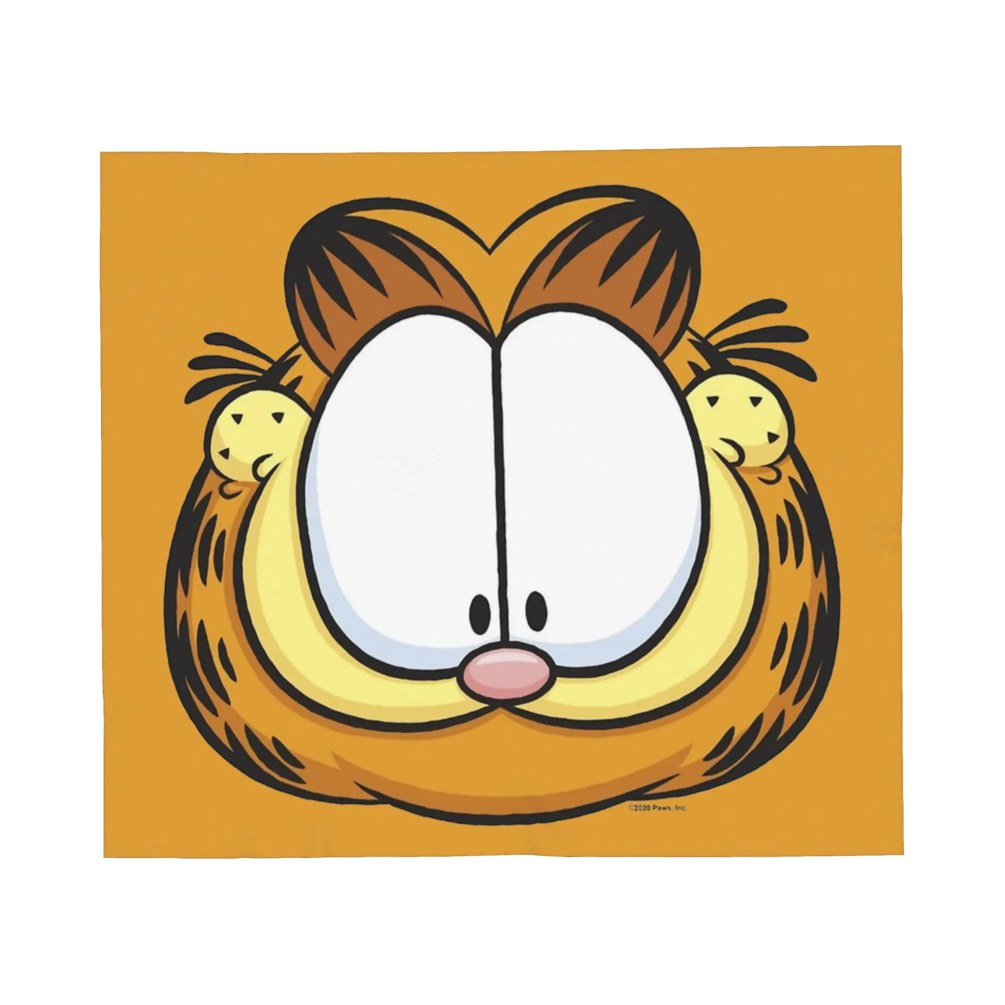 

lovely garfields cat Blanket Ultra Soft Throw Blankets for Sofa 50x60 Inch Multi-size Bedspread