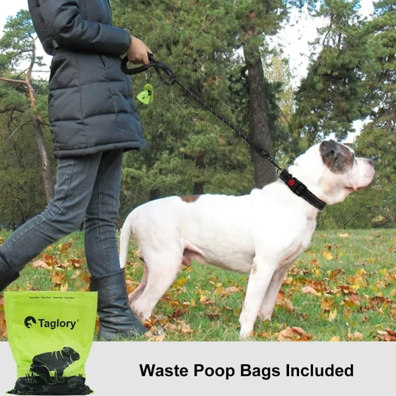 Dog Leash 6 FT with Comfortable Padded Handle, Highly Reflective Threads Leash and Anti-Tangle Clip for Walking Medium Large