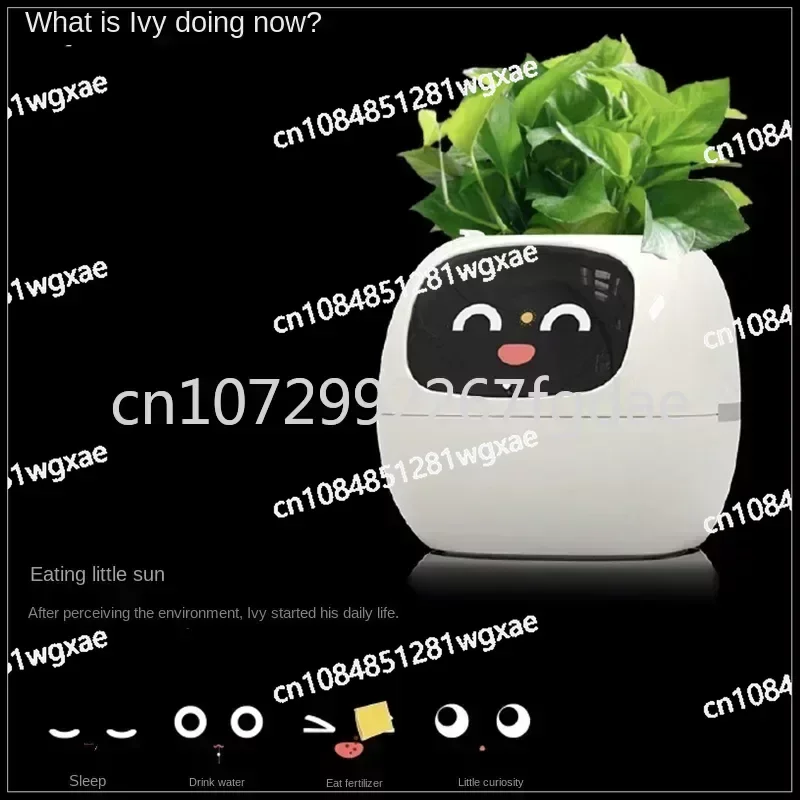 New Smart and Cute Pet Pet Pot Ivy Table Top Green Plants Let Your Plants Express Emotions