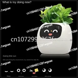 New Smart and Cute Pet Pet Pot Ivy Table Top Green Plants Let Your Plants Express Emotions