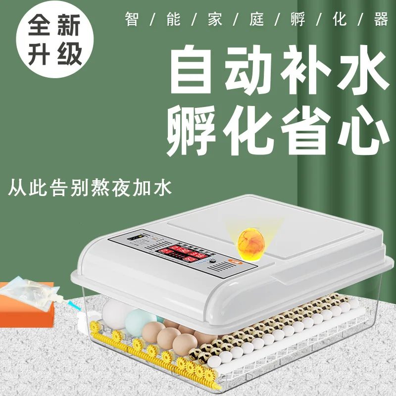 Small Smart Incubator Automatic Home Incubator Chicken Duck Goose Quail Rutin Pigeon Incubator