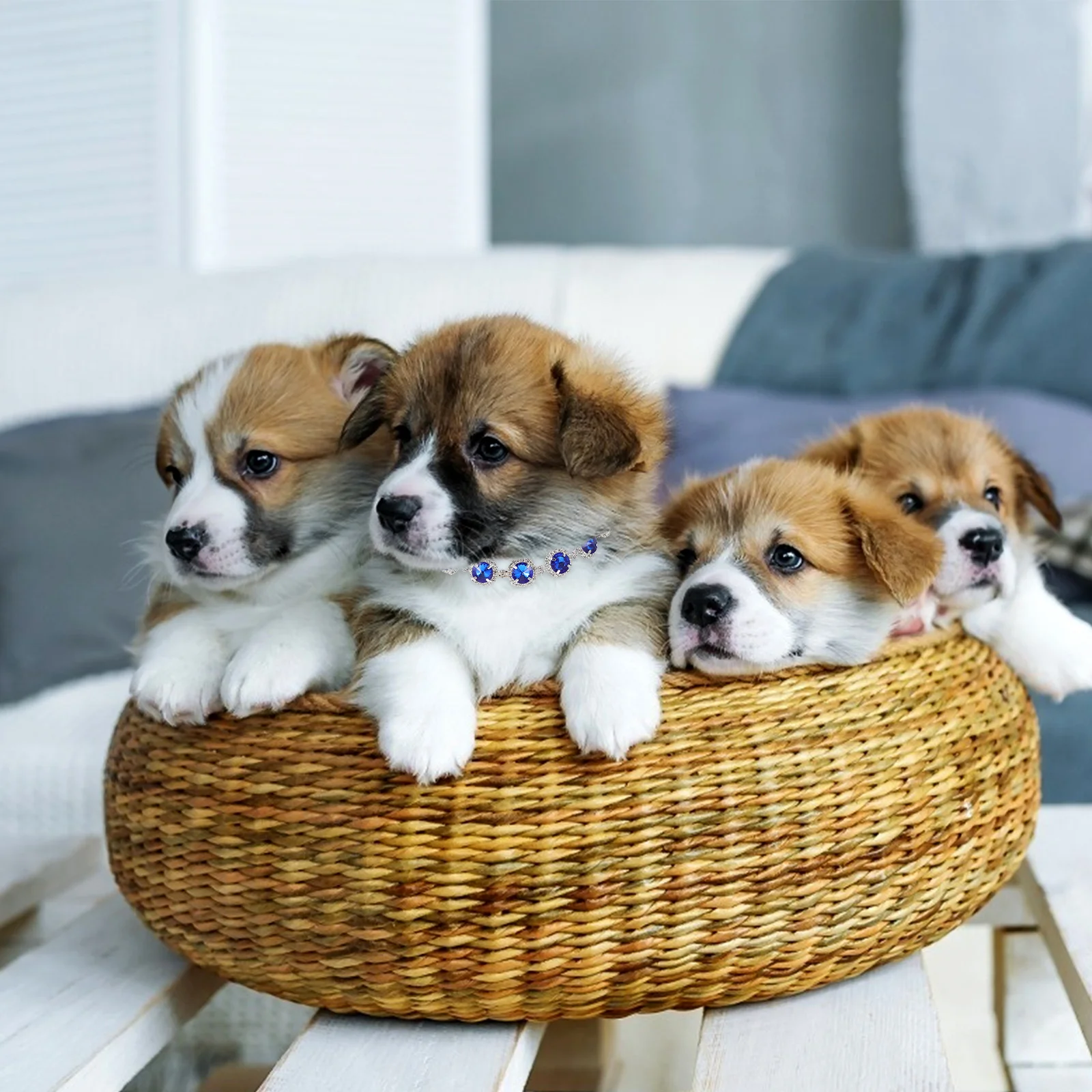 

Pet Collar Adjustable Small Kitten Puppy Dog Necklace Decorative Delicate Comfortable Premium Material Party Birthday