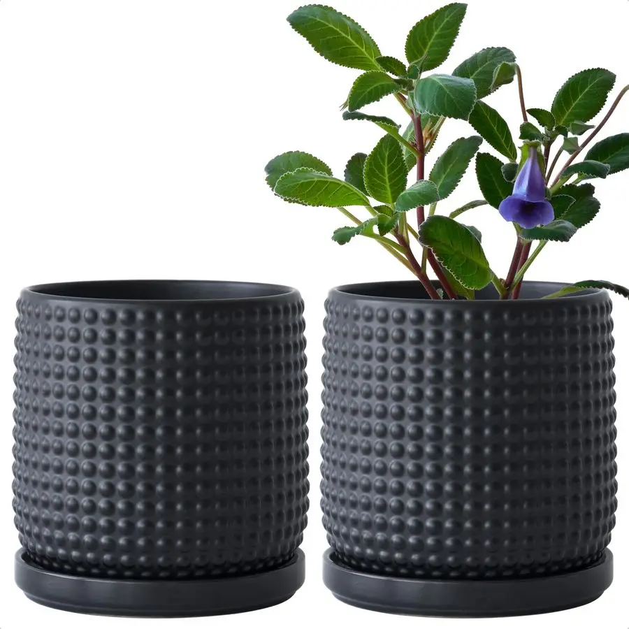 Dev Set Of 2 Cerami…