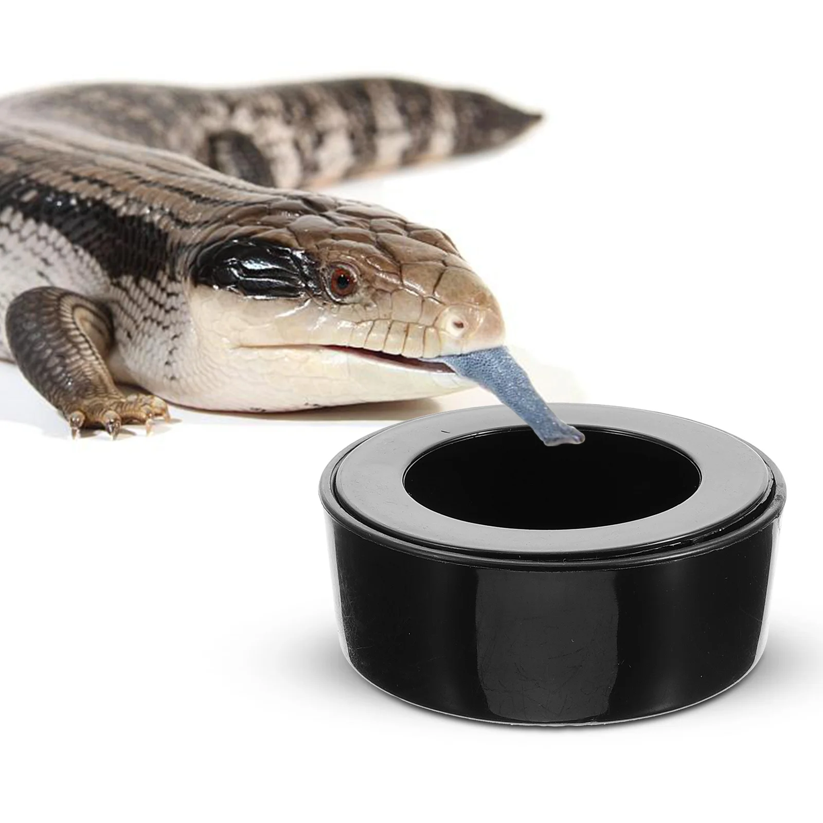 

Durable Plastic Reptile Feeding Bowl Round Shape Food Bowl Stable Water Dish for Snake Turtle Reptile Water Dish