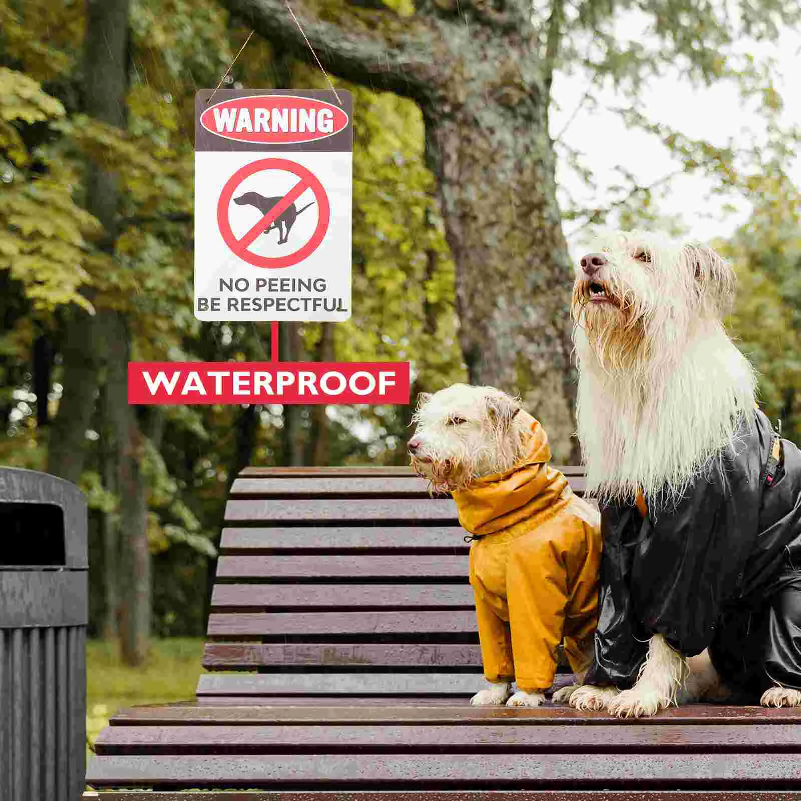 2-teiliges Warnschild „Safe No Dogs“, Ornament für den Hof, zum Aufhängen von Bildern, Vorsicht, Haustier, Pinkeln, Büroaufkleber