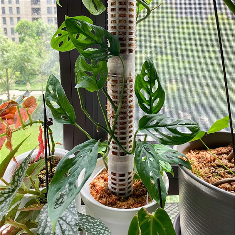 Plant Climbing Frame Plant Trellis Supporting Stick Plastic Moss Pole Indoor Plant Pot stand Green Dill Vine Garden Accessories