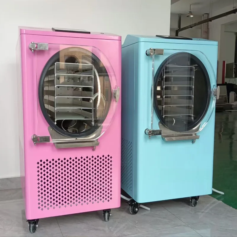 

Lab Lyophilizer Vacuum Dryer Freeze Dried Machine