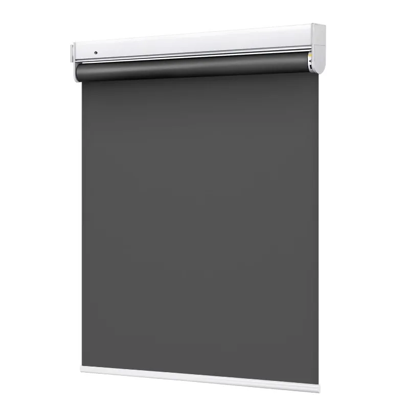 

Custom Manual Roller Shades No Drill Easy Installation for Office & Bedroom Full Blackout & Waterproof Oil-proof 2*2.6m High