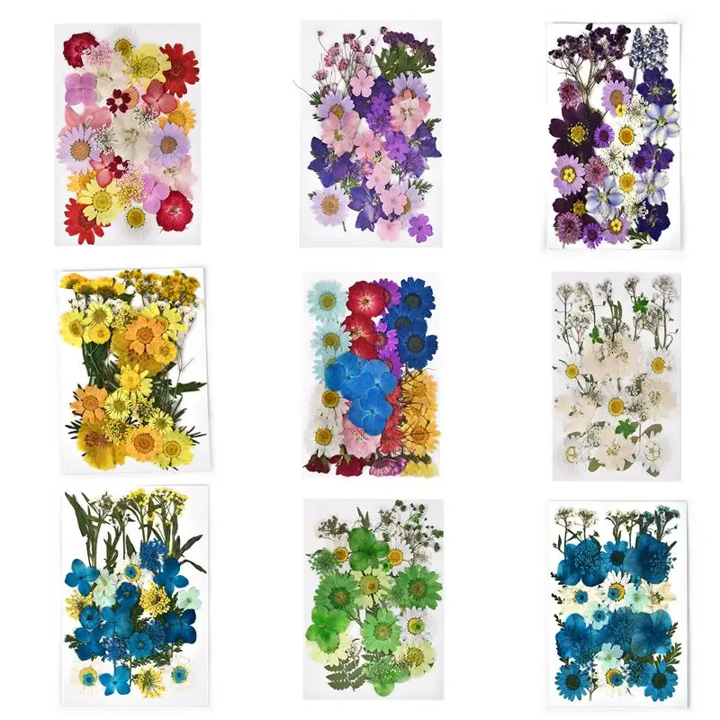 30pcs-36pcs Natural Dried Flowers For Resin Mold Fillings Scrapbooking DIY Real Pressed Flower With Leaves Nail Art Decorations