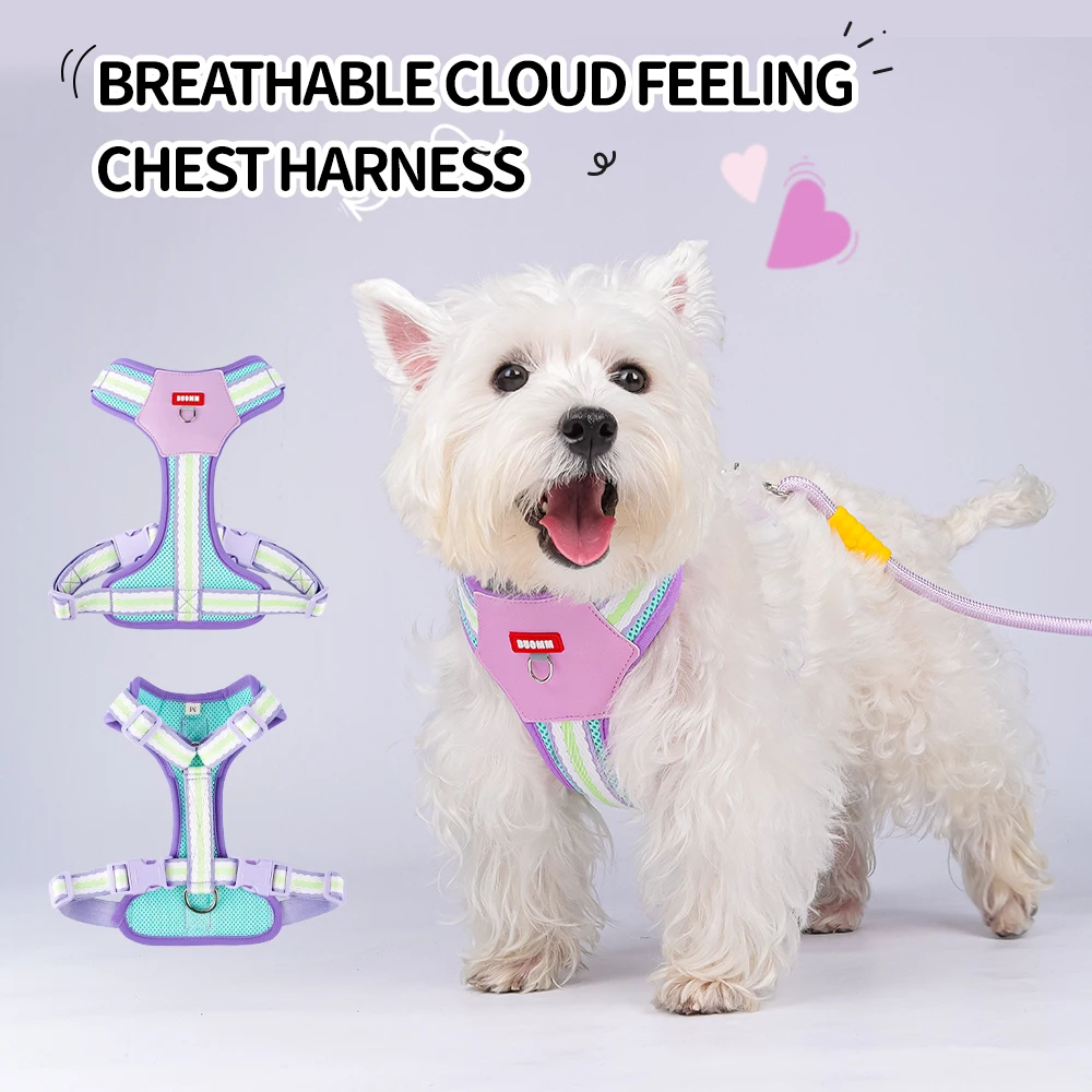 Arnés de Bloques de Color para Perros Pequeños, Arnés Transpirable de Malla para Corgi, Collar para Mascotas, Arnés para Cachorros Pomeranian con Asa, Correa Suave para Perros