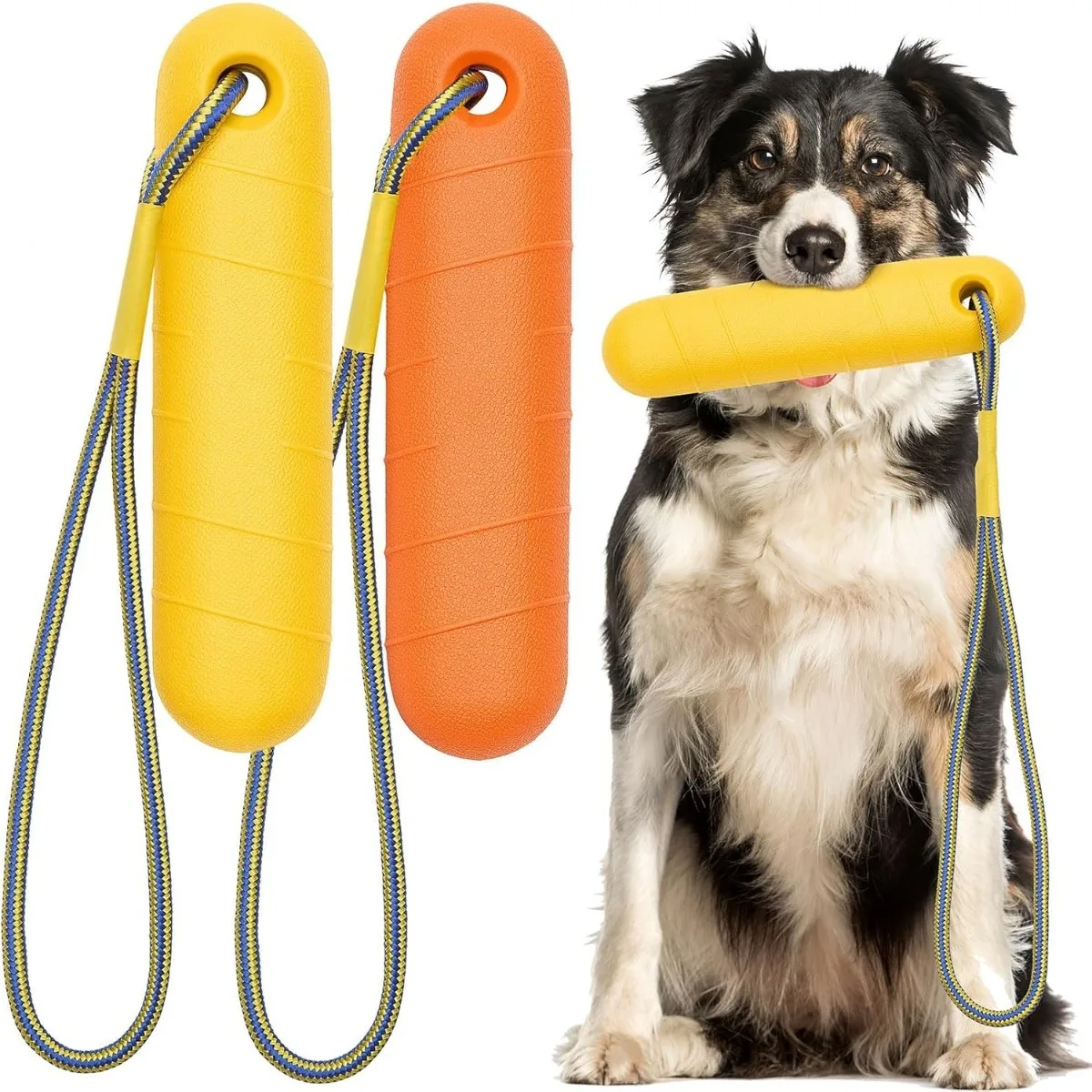 

Toys Dog No Eva None Dog Toys Dogs Stuff Special Counter
