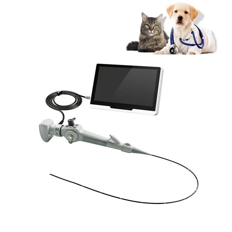 Portable Veterinary Endoscope Flexible Video Bronchoscope for Sale