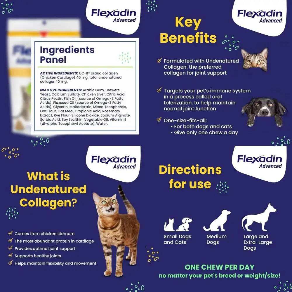 

Daily Hip & Joint Support Chews for Dogs & Cats, Vet-Approved, 60 Count