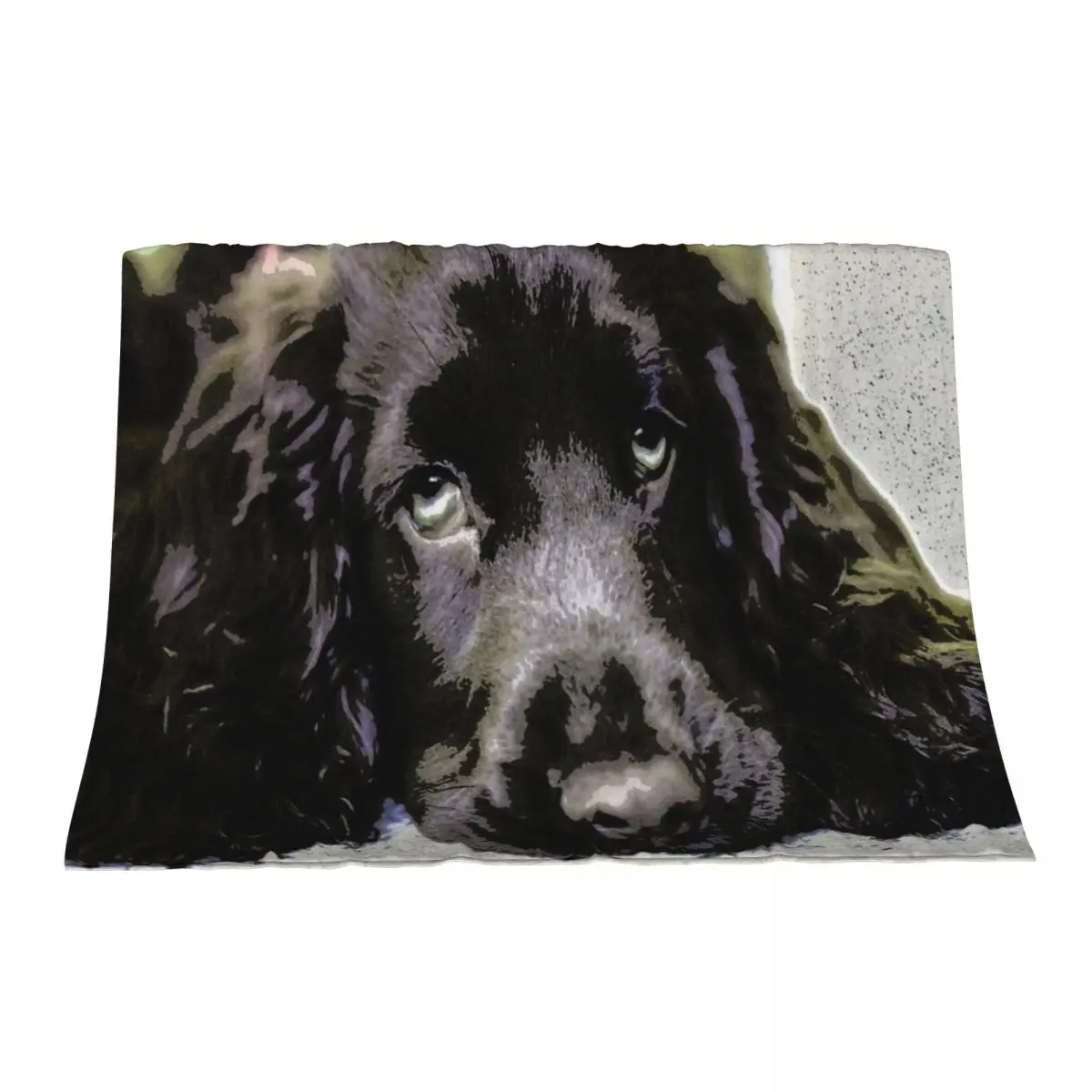 

Sprocker spaniel sleeping Throw Blanket blankets ands Soft Beds For Decorative Sofa Personalized Gift Blankets
