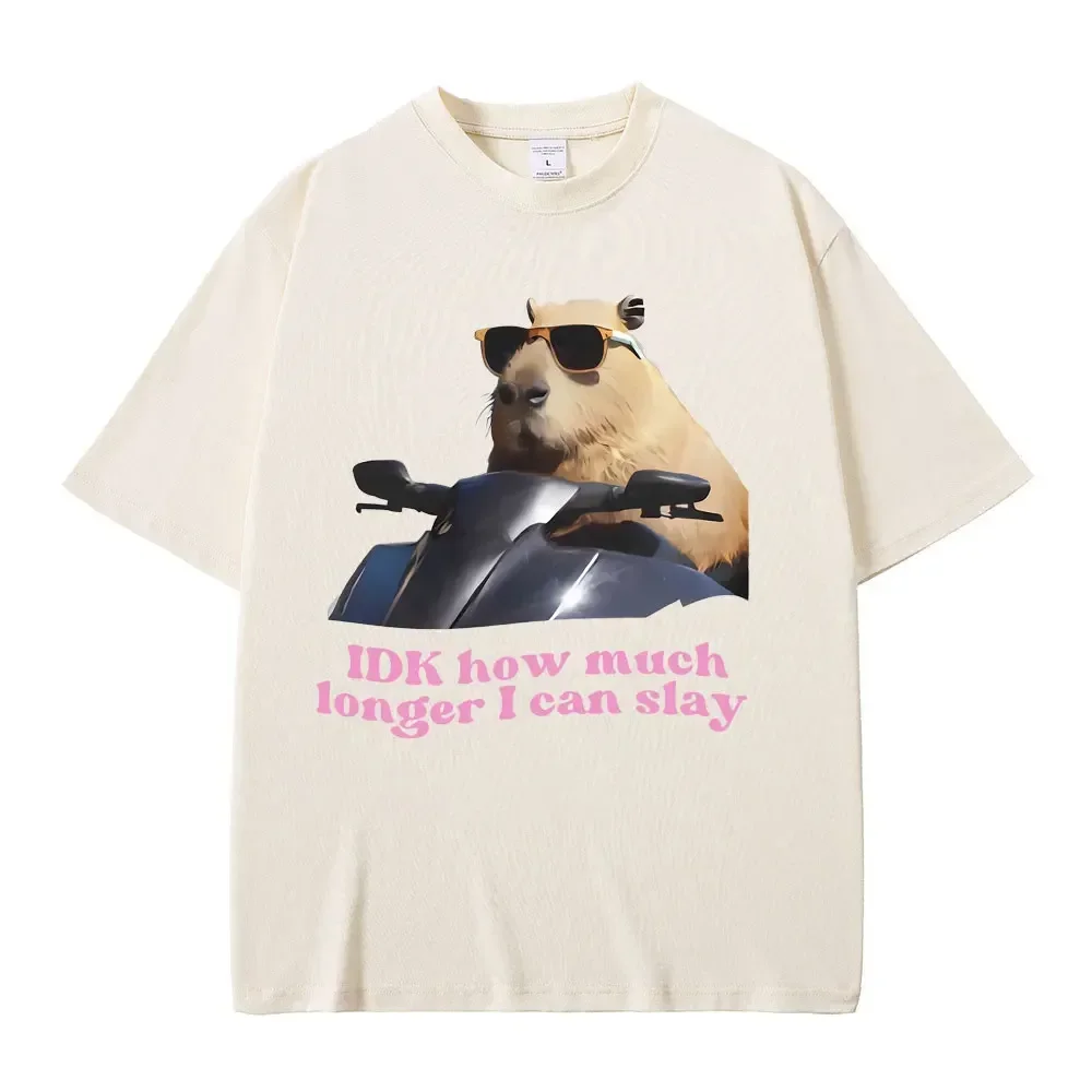 Idk, camisetas gráficas divertidas de Capybara Meme, camisetas informales acogedoras de manga corta para mujer