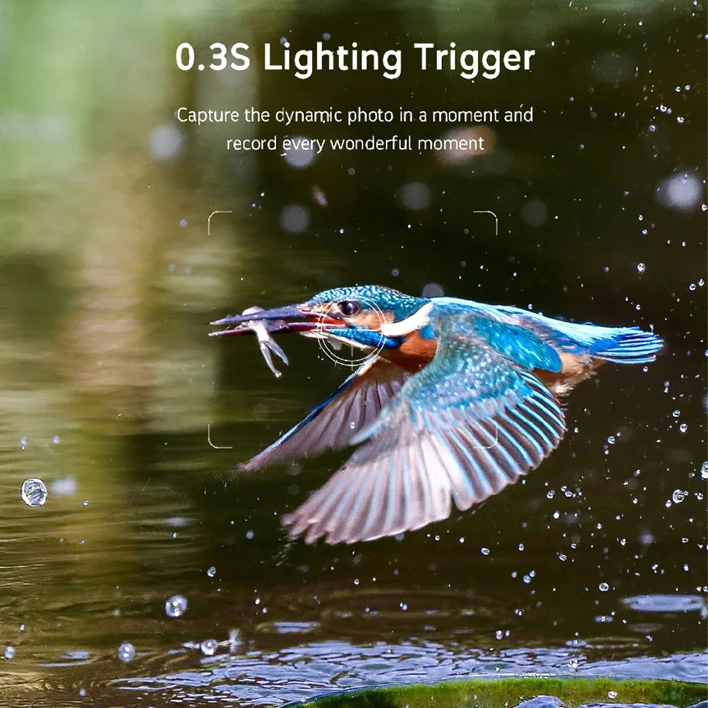 كاميرا الحياة البرية الخلوية 4G LTE ، درب البث المباشر ، البطارية ، تنبيه حركة الطاقة الشمسية ، كاميرا اللعبة ، لا توهج ، رؤية ليلية ، IP66 ، 940 نانومتر ، أوروبا