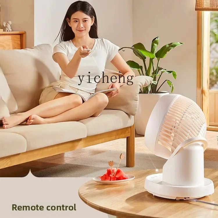 C21360 Desktop Fan Household Air Circulation Fan Silent Small Desktop Office Electric Fan