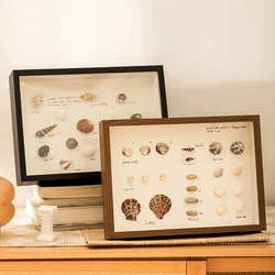 3D μ¬μ§ νλ μ κΉμ΄ 5cm κ·Έλ¦Όμ μμ λ§λ¦° κ½ κ»μ§ νλ³Έ μμ DIY 곡μ λμ€νλ μ΄ κ·Έλ¦Ό νλ μ ν μ₯μ λ²½ νλ μ