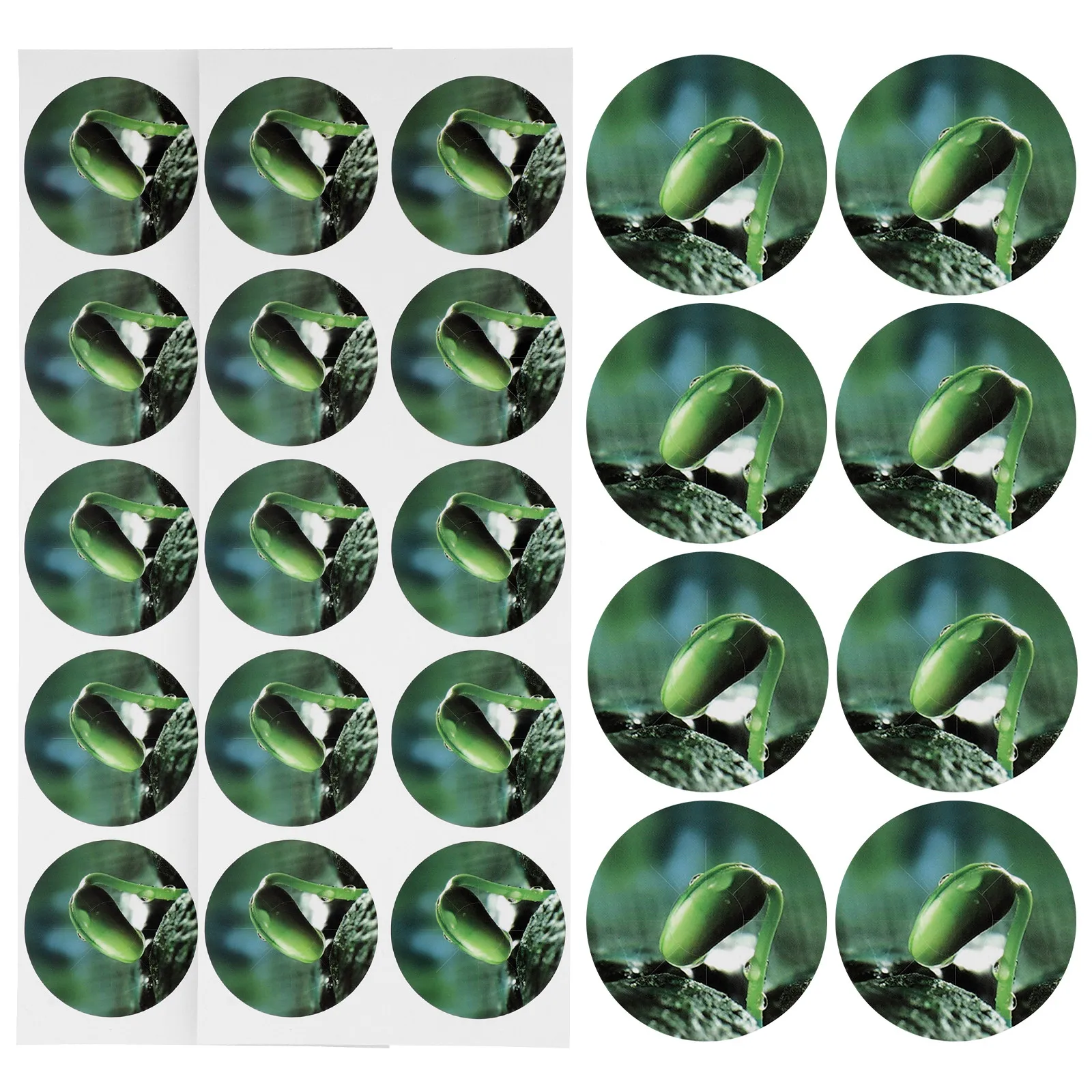 PVC Plant Grow Labels 5 Sheets – Waterproof, Strong Adhesive, Large Surface for Hydroponics, Seed & Pot Marking