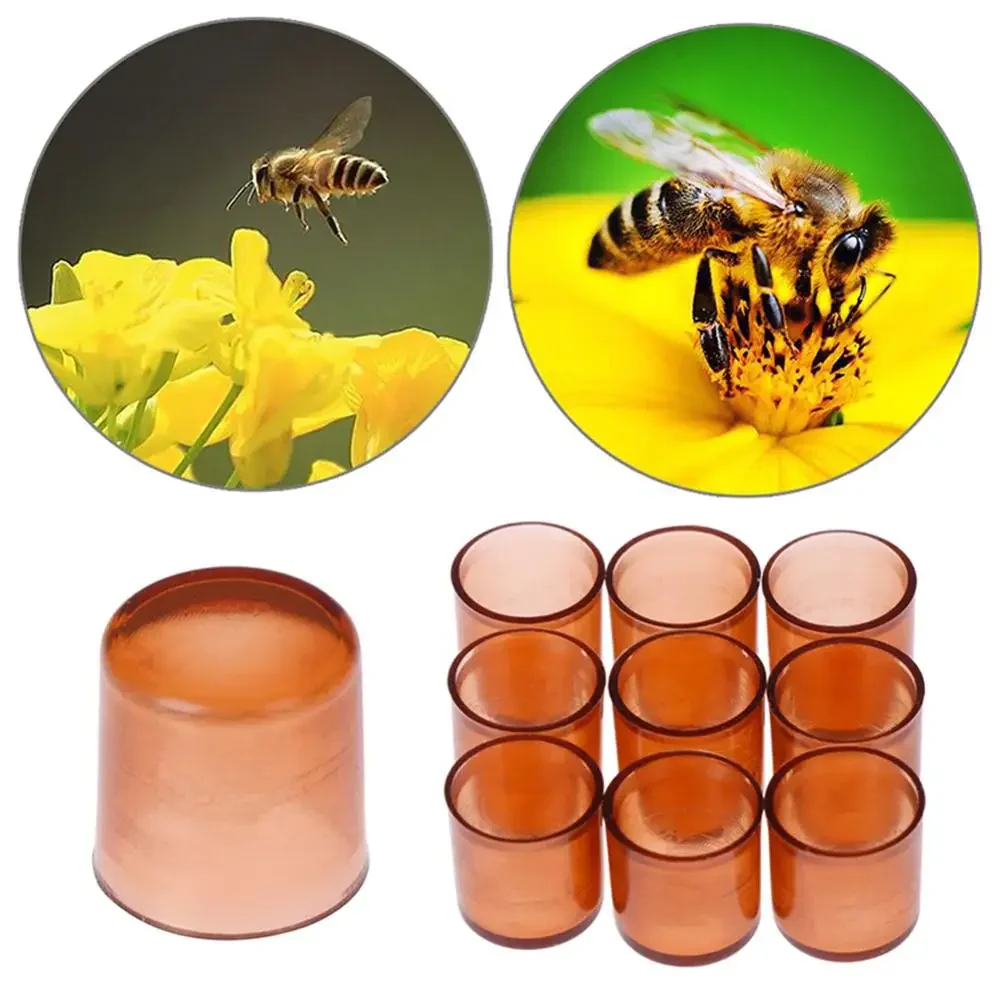 250PCS Beekeeping Queen Rearing Cell Cups Brown Queen Cells Cages Room Cups Cell Cage Cup Bees Tools Beekeeper Equipment