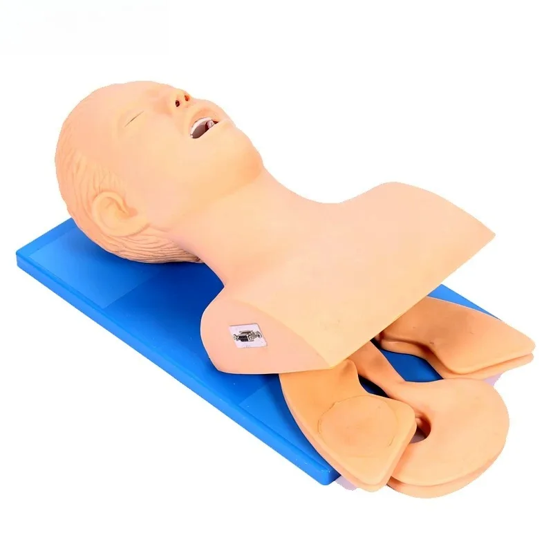 Human Body Adult Manikin Teaching Electronic Airway Management Trainer Tracheal Intubation Model