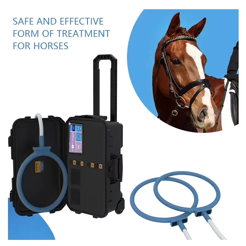 for MagicBelle Desktop PEMF Magnetic Therapy Device Loop Design for Pain Relief for Humans Animals Hands Target US AU