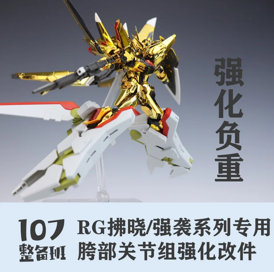 107 Model Kits Custom Upgrade - огляд і ціна Model Kit Rg