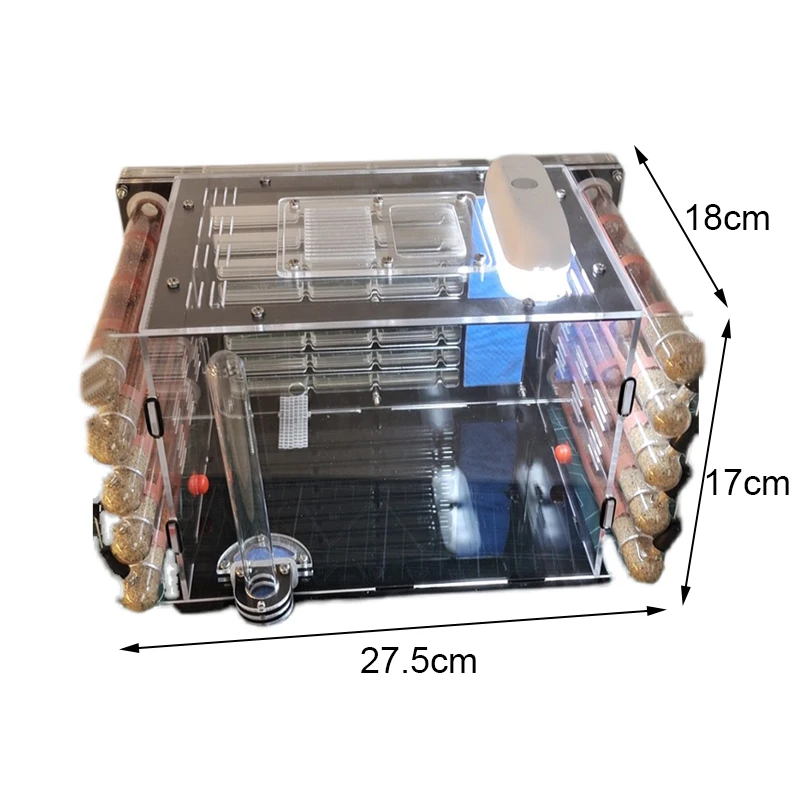 Imagem -05 - Acrílico Formiga Fazenda Faça Você Mesmo Tubo de Ensaio de Bambu Ninho de Formiga Inseto Hotel Pet Antill Aldeia com Grande Área de Caça Formiga Casa Canil Oficina
