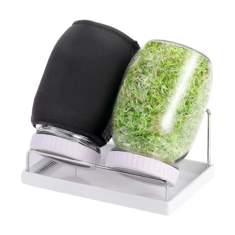 

Reusable Glass Sprouting Cultivator Set With Lid Suitable for Beans Seedling Include Drainage Rack and Cover A2BB