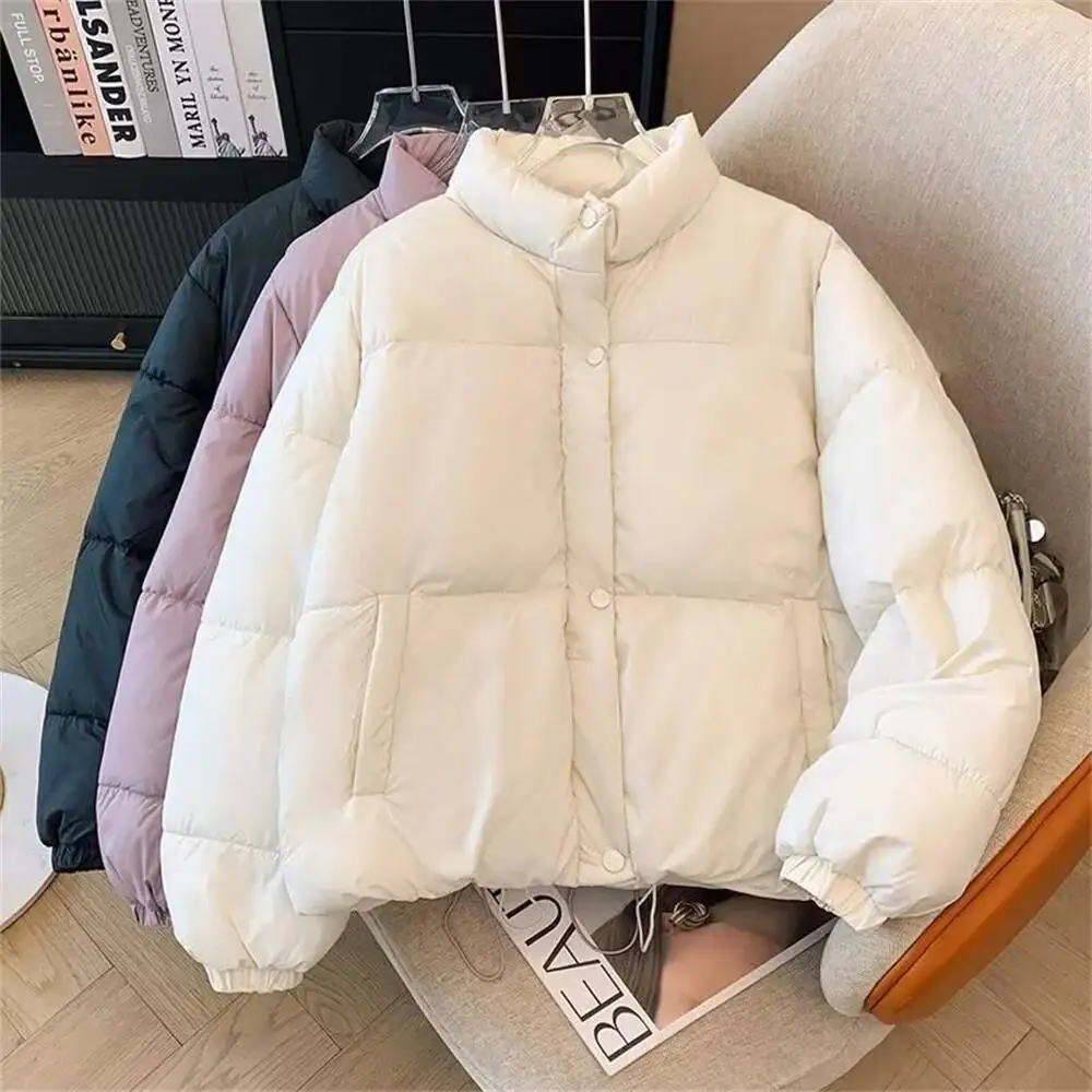 موضة جديدة لخريف وشتاء 2025 بأكمام طويلة وياقة ثابتة سترات متينة ملابس نسائية كورية دافئة تناسب الجميع سترات بسحاب #1