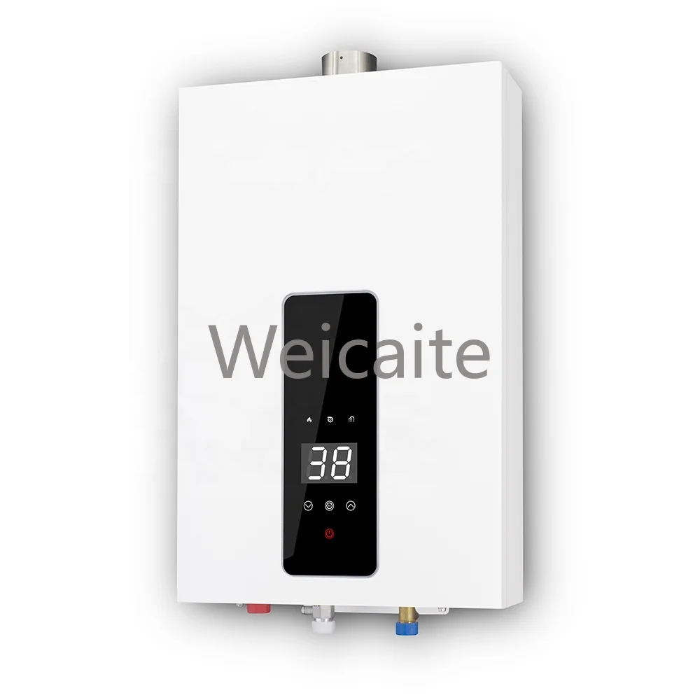 China Wholesale Price Smart Home Appliance 10L 12L Tankless Instant Gas Geyser Water Heater