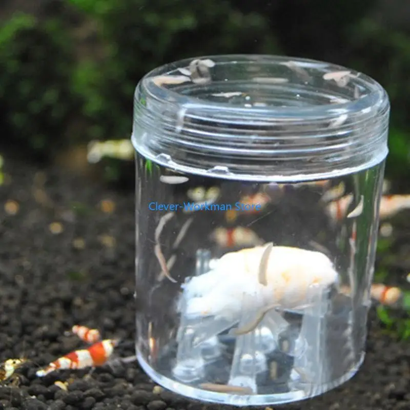 

24TD Planaria Trap Catch Trap Clear Acrylic Planarian Traps 8 Holes for Cherry Shrimp