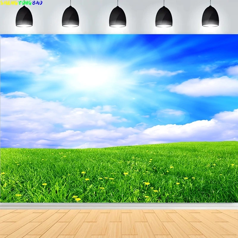 

Vivid Rainbow Blue Sky White Clouds Photography Backdrops Abstract Peaceful Dove Stairway Heaven Path Photo Background KY-04