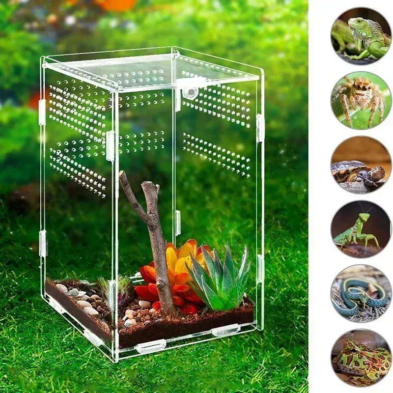 

Acrylic Reptile Breeding Box Transparent Terrarium Habitat Insect Spider Lizard Scorpion Feeding Cage Arboreal Enclosure