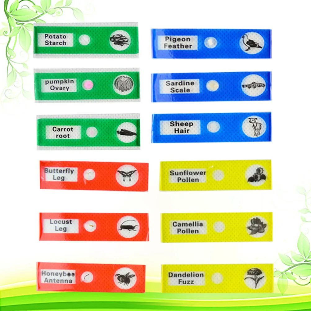 12Pcs Prepared Biological Specimen Slides Plastic Microscope Samples for Children Students Home School Entomology Botany