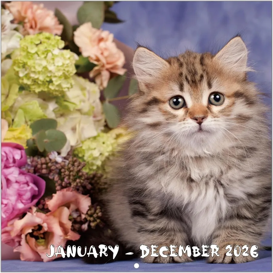 

2026 Calendar 2026 Wall Calendar Cute Cats Calendar 2026. Jan. 2026 - Dec. 2026 12" x 24" Open 12-Month Cats ＆ Flower Wall Cale
