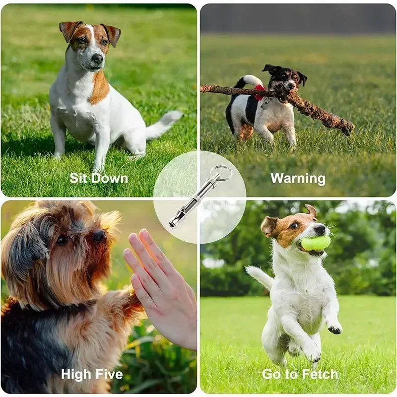 Sifflet pour chien pour arrêter les aboiements, sifflet pour chien à tonalité sonore réglable avec porte-clés, sifflet professionnel pour appeler les animaux de compagnie, BHL2403-FRO