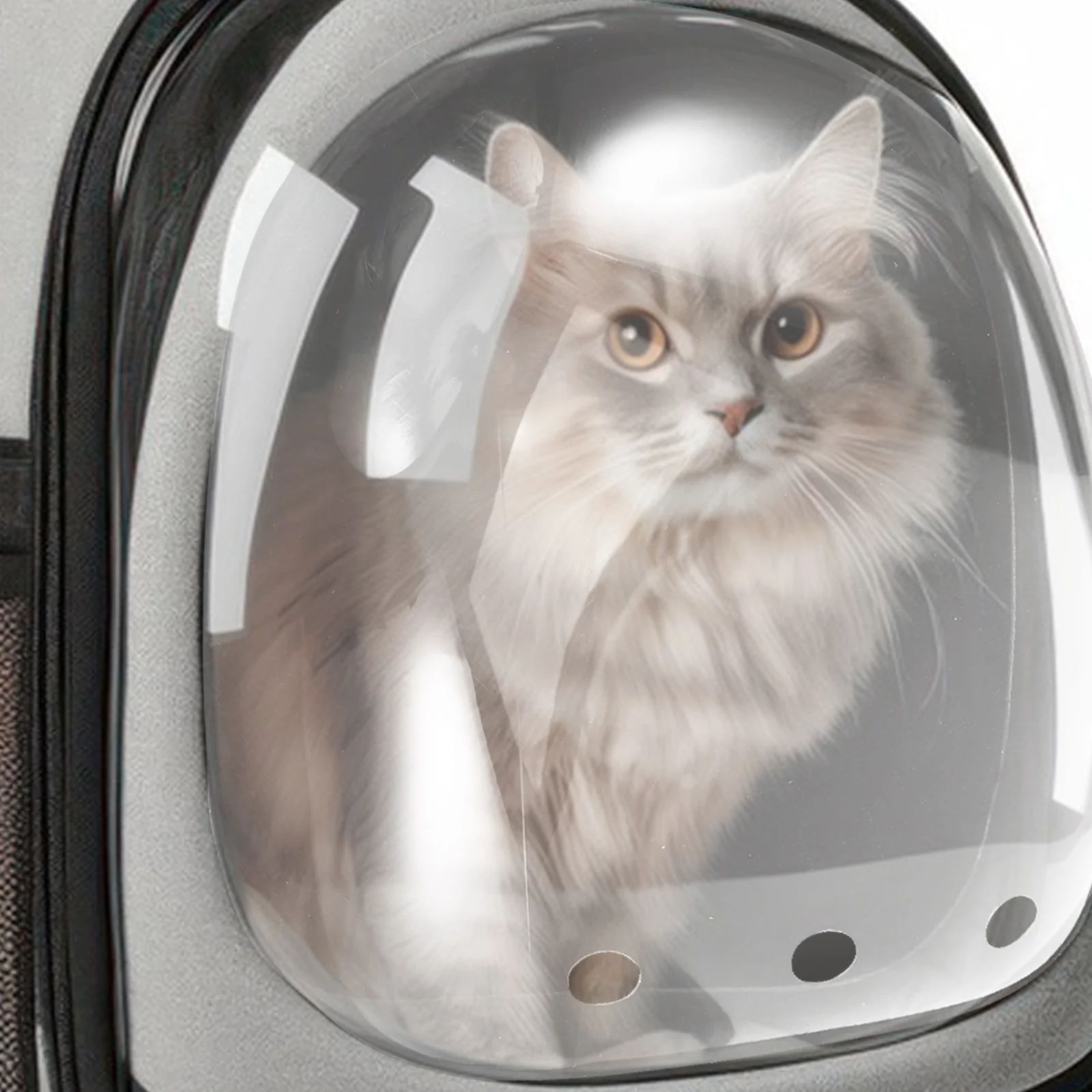 

Pet Carrier Transparent Capsule Door for Dog Travel Backpack Window Smooth Surface Breathable Comfort DIY Installation