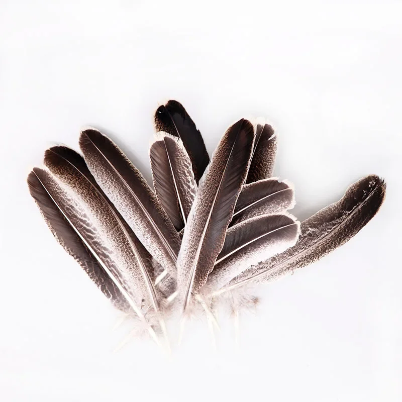 100Pcs/Lot Natural Turkey Feathers for Decoration Crafts Bird Pheasant Feather Decor Holiday Jewelry Handicrafts Carnaval