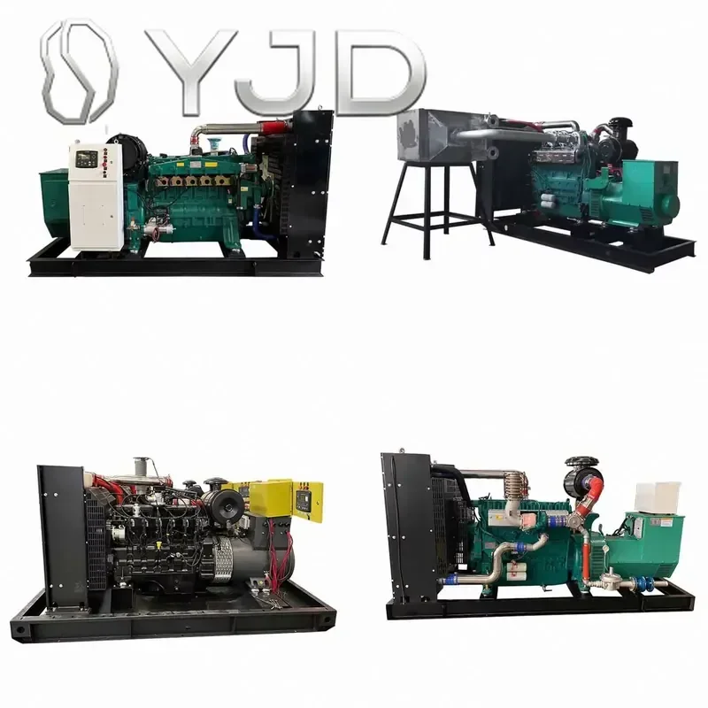 Junwei 114kw Natural /Biogas/LPG Generator Set with 08T1 Engine Model JW-NGG-20242481 24V DC Electric Start 400/230V