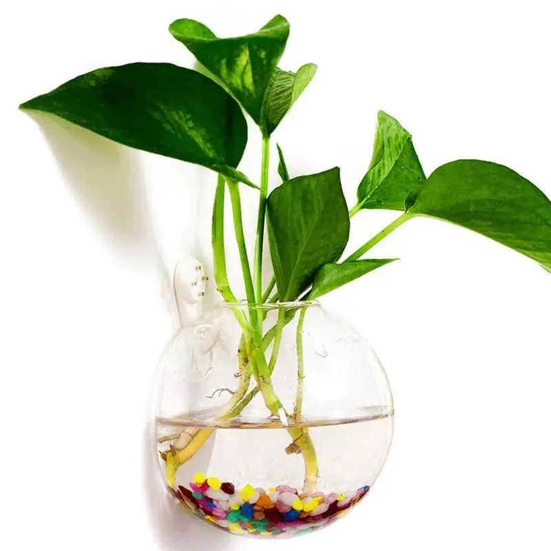 Creative Wall Mounted Glass Vase Fish Tank Hanging Hydroponi
