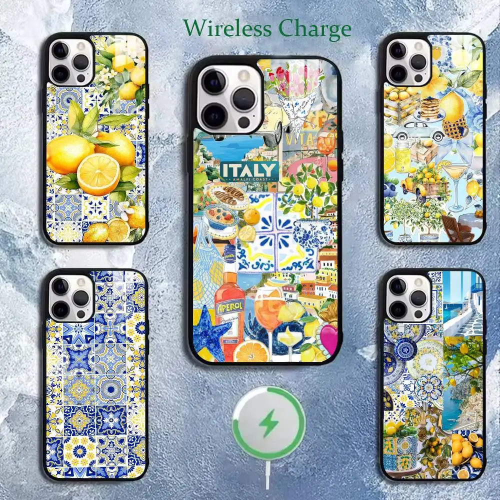 

European Maiolica Holiday Phone Case For iPhone 11,12,13,14,15,16,17Plus,Pro,Max for Wireless Charging