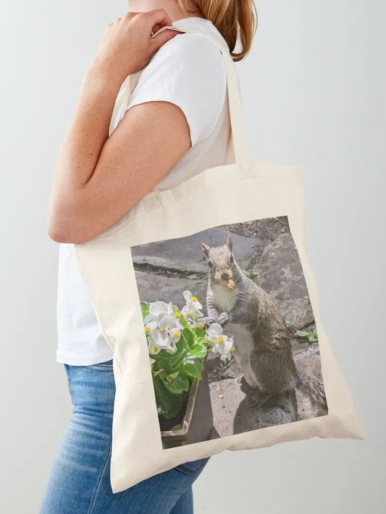 

Squirrel snacking Tote Bag Reusable bags custom bags tote bag custom shopping trolley bag