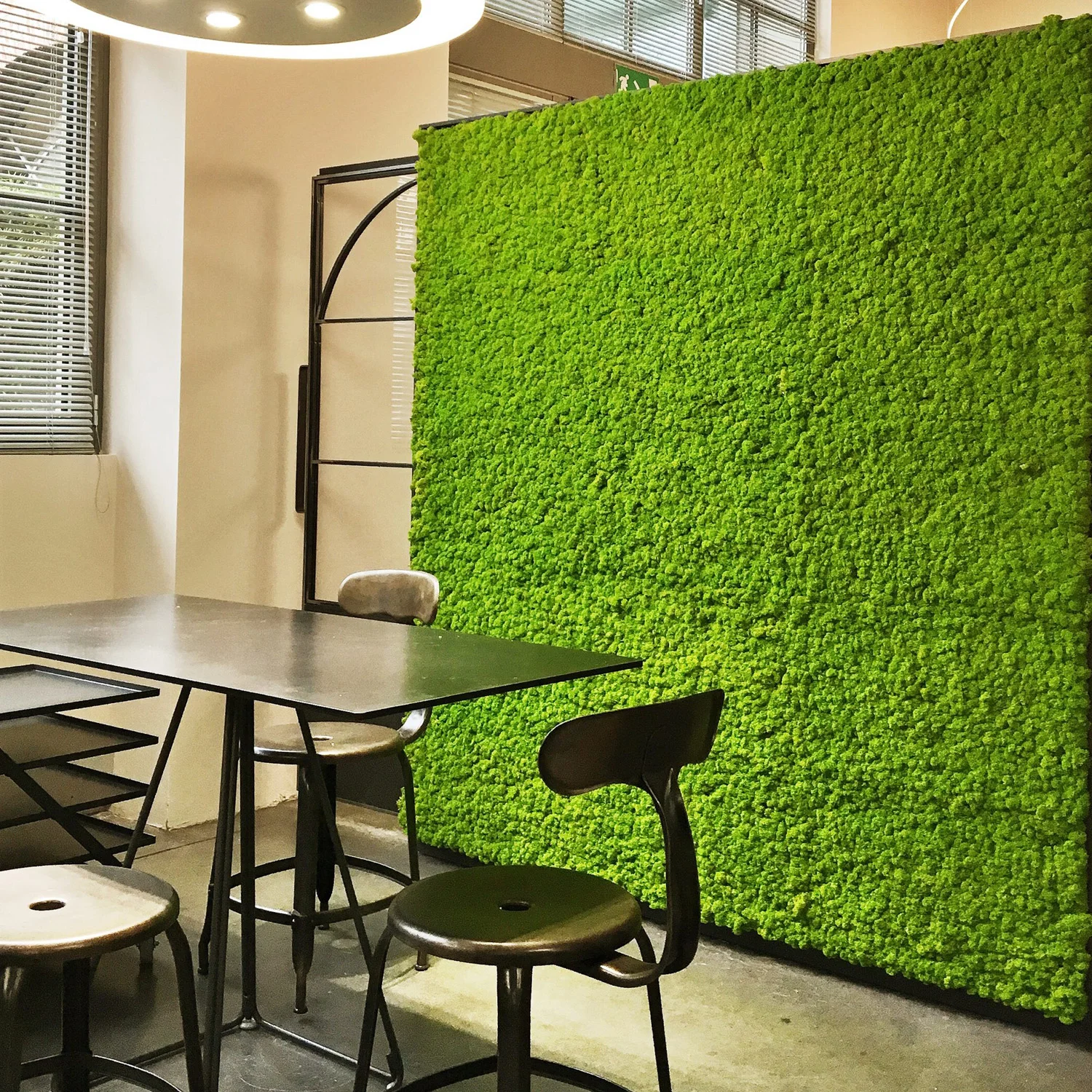Simulation de mousse verte nat - Sphagnum Moss Dry avis et prix