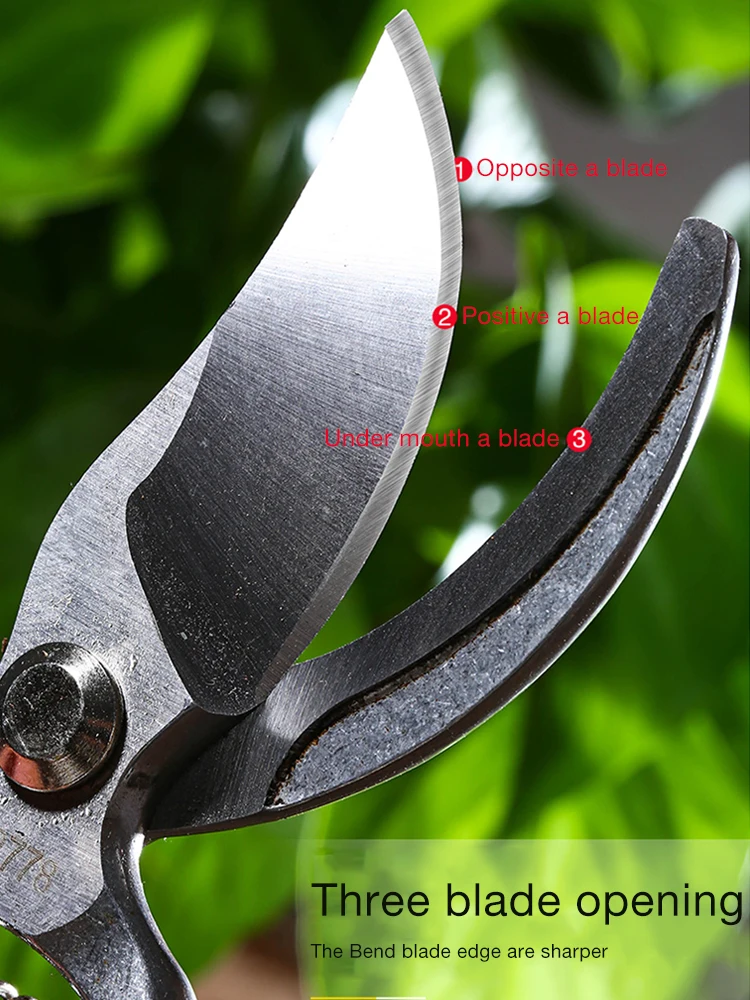 DELI-tijeras de podar para jardinería, juego de sierra plegable de 7 pulgadas, Árbol frutal en maceta verde, herramientas duraderas que ahorran trabajo, poda de jardín y huerto