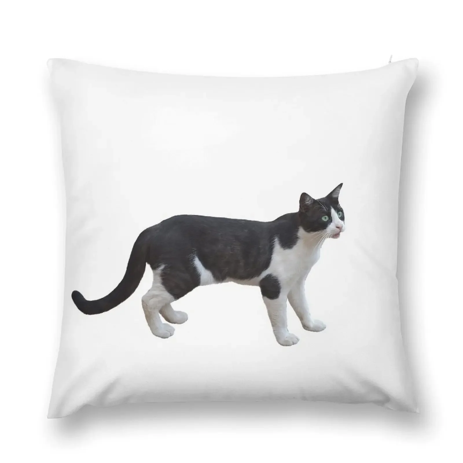 

Cat shirt-Cat apparel/Cat stuff/Cat accessories Throw Pillow Room decorating items Sitting Cushion pillow