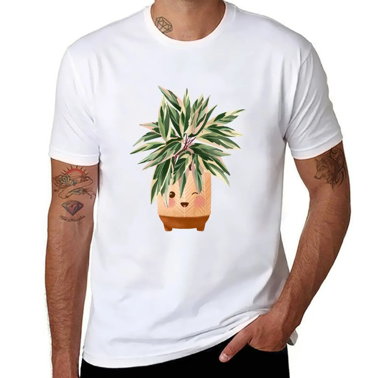 Linda ilustración de plantas, ilustración de Triostar de Calathea 5, camisetas divertidas, camisetas de algodón para hombre, camiseta divertida gráfica