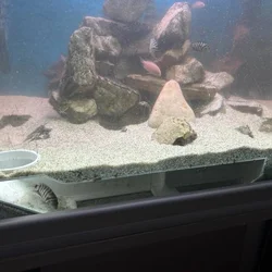 Aquarium glass hidden underground viewing tunnel underwater amusement full of fun