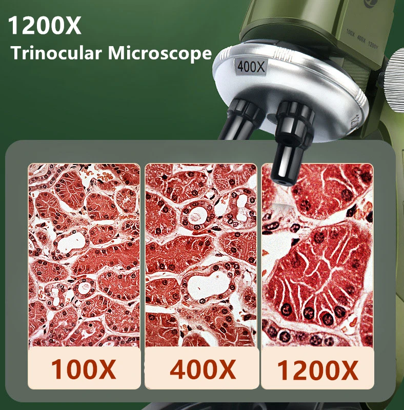 Zestaw mikroskopu laboratoryjny LED 100X-400X-1200X mikroskop biologiczny Puzzle dla dzieci nauczanie nauki mikroskop optyczny dla dzieci prezent